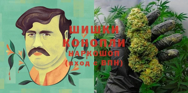 Альфа ПВП Горно-Алтайск