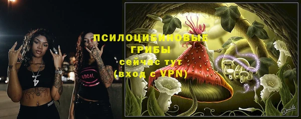Альфа ПВП Горно-Алтайск