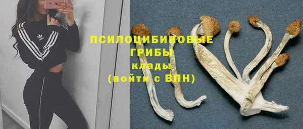 Альфа ПВП Горно-Алтайск