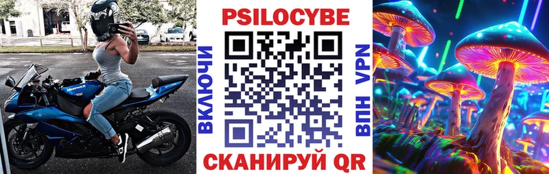 купить  сайты  Пионерский  hydra   Псилоцибиновые грибы мицелий 